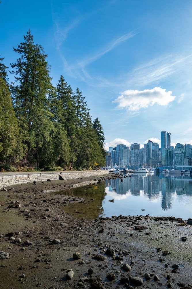 Vancouver &  North Shore Scenic Tour