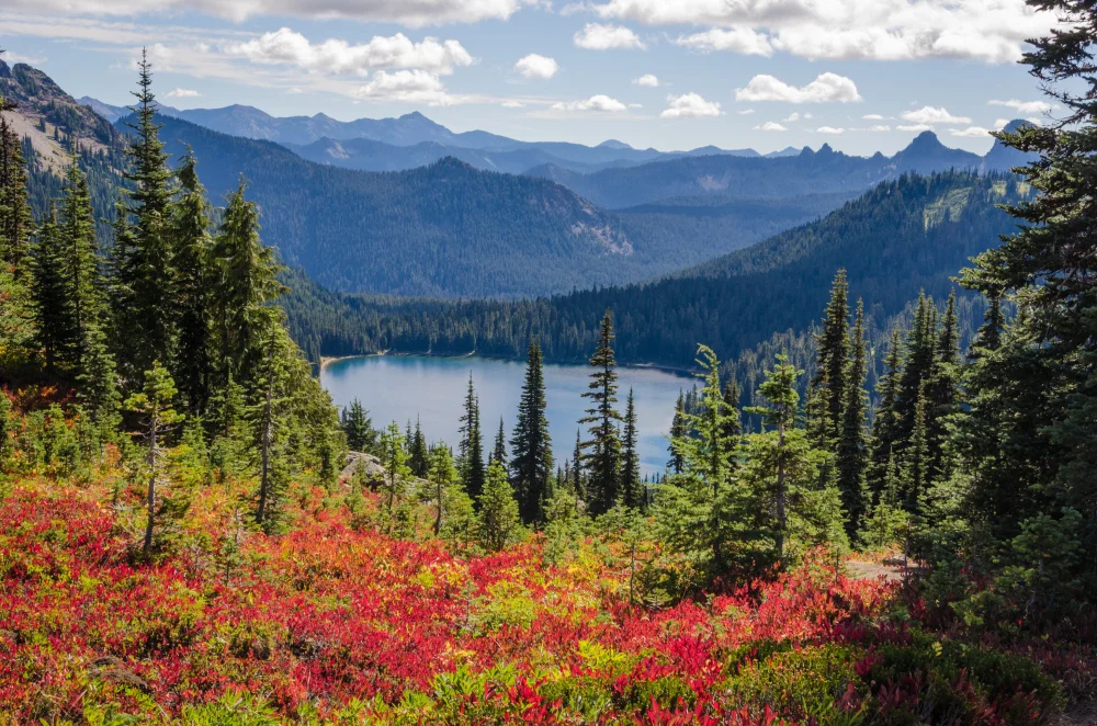 Whistler & Sea-to-Sky Tour