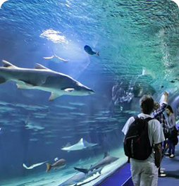 Vancouver Aquarium
