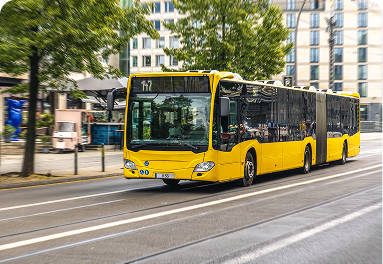 Bus & SeaBus